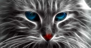 ハロウィンメイクで猫がテーマの思わず見とれてしまう種類とやり方