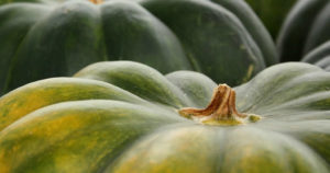 ハロウィン献立を簡単に家族で楽しめるものを考えてみた！